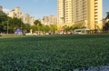 Sân bóng Đại học Y Hà Nội