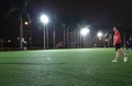 Sân bóng Tân Hội - Tân Hội, Đan Phượng