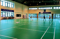 Sân cầu lông trung tâm thể thao Duy Hưng
